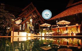 Rainforest Chiangmai Hotel